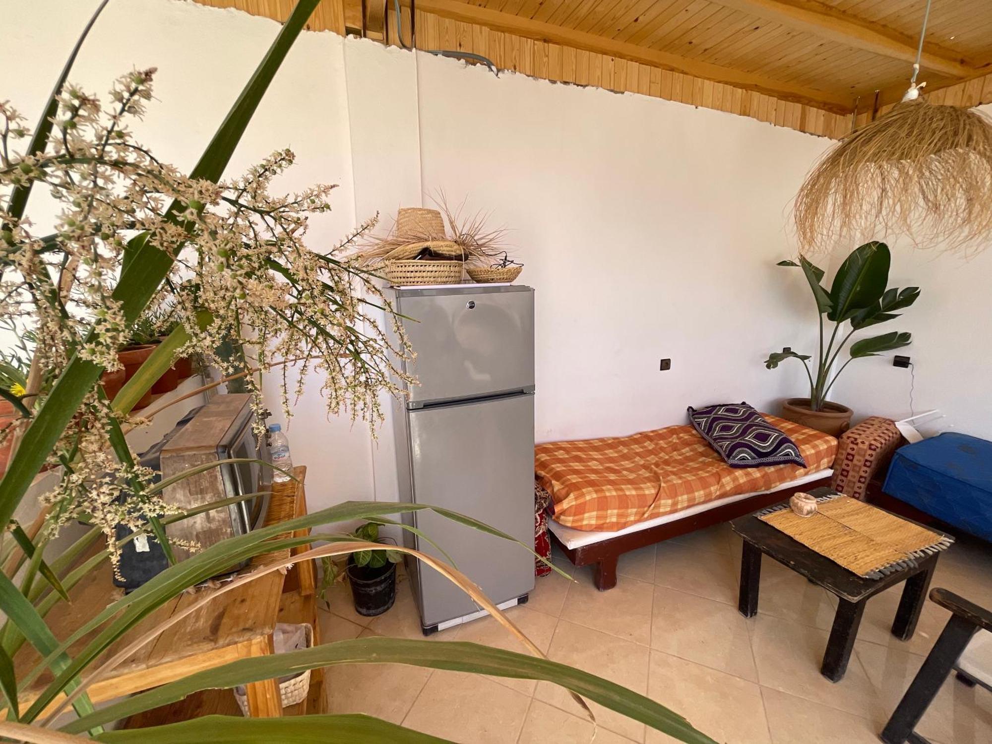 Jungle Surf House Hostel Taghazout Exterior photo
